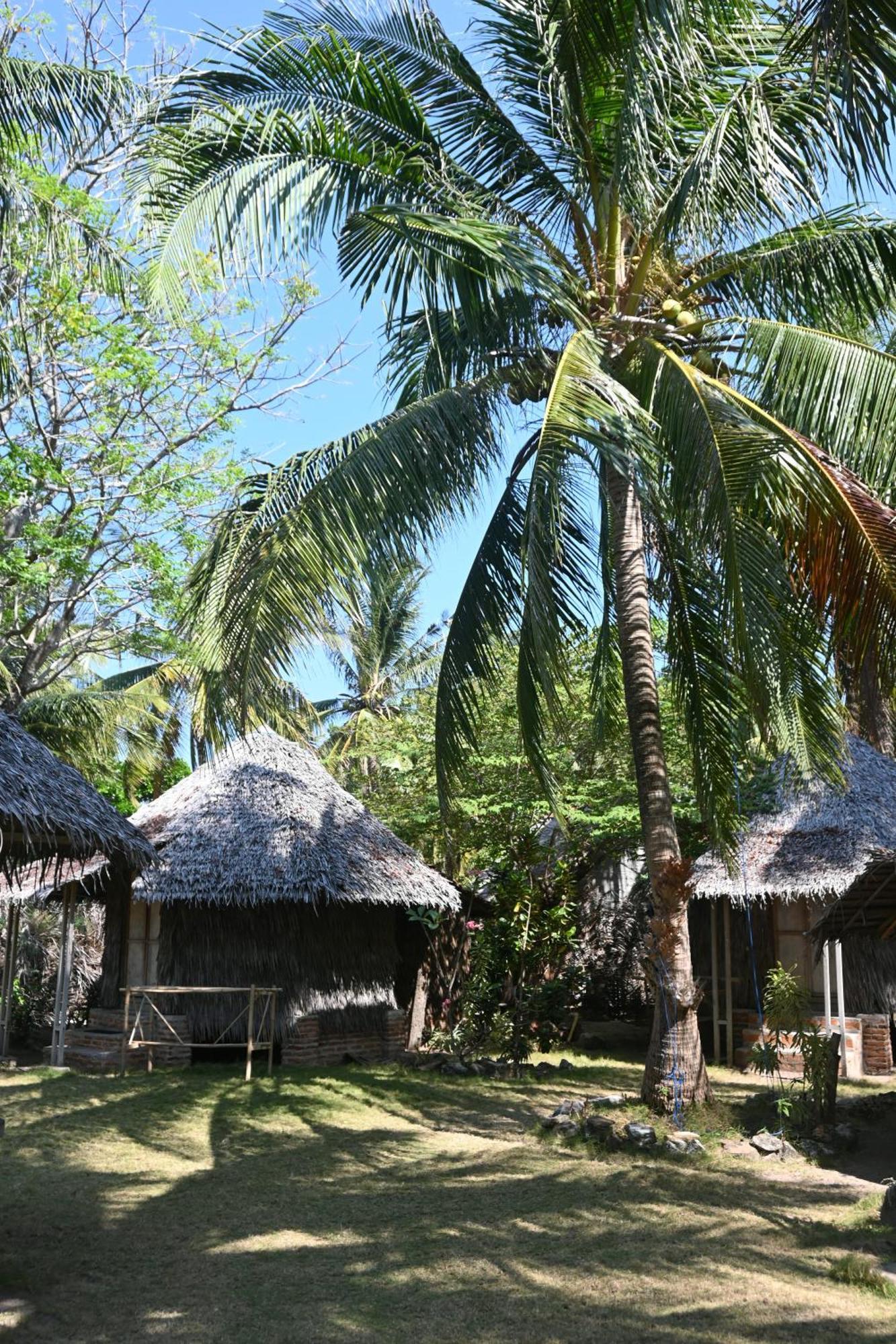Villa Bunga Jabe Karimunjawa-Inseln Exterior foto