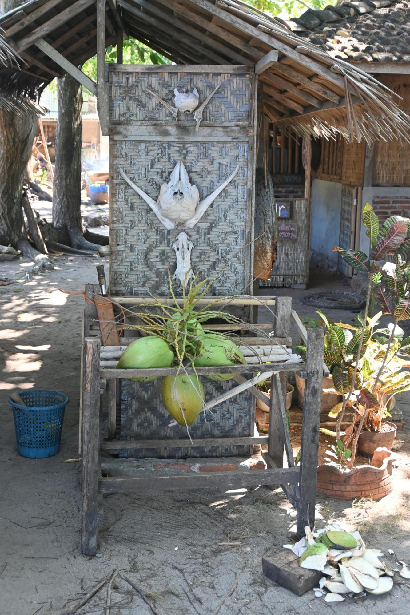 Villa Bunga Jabe Karimunjawa-Inseln Exterior foto